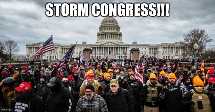 Jan 6th | STORM CONGRESS!!! | image tagged in jan 6th | made w/ Imgflip meme maker