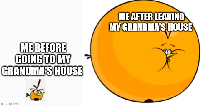 F O O D Grandma | ME AFTER LEAVING MY GRANDMA'S HOUSE; ME BEFORE GOING TO MY GRANDMA'S HOUSE | image tagged in bubbles normal and inflation,angry birds,grandma,fat,food,funny memes | made w/ Imgflip meme maker