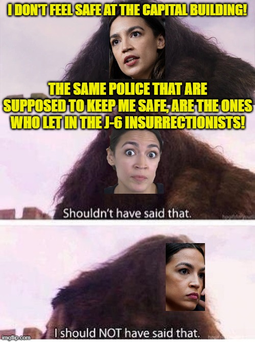 AOC blurts out the truth |  I DON'T FEEL SAFE AT THE CAPITAL BUILDING! THE SAME POLICE THAT ARE SUPPOSED TO KEEP ME SAFE, ARE THE ONES WHO LET IN THE J-6 INSURRECTIONISTS! | image tagged in hagrid i shouldn't have said that,alexandria ocasio-cortez,capital | made w/ Imgflip meme maker
