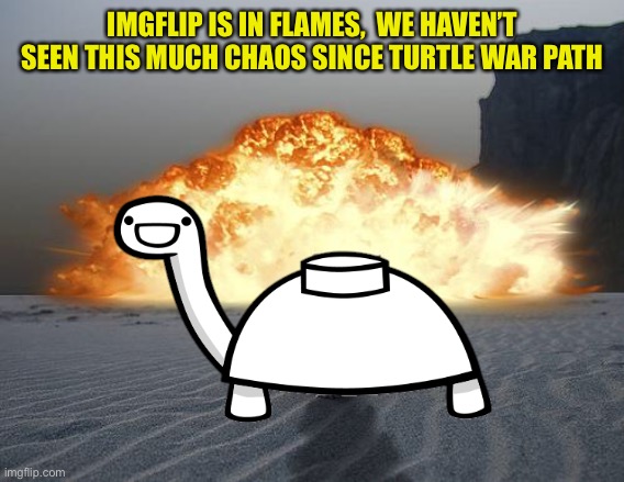 IMGFLIP IS IN FLAMES,  WE HAVEN’T SEEN THIS MUCH CHAOS SINCE TURTLE WAR PATH | made w/ Imgflip meme maker