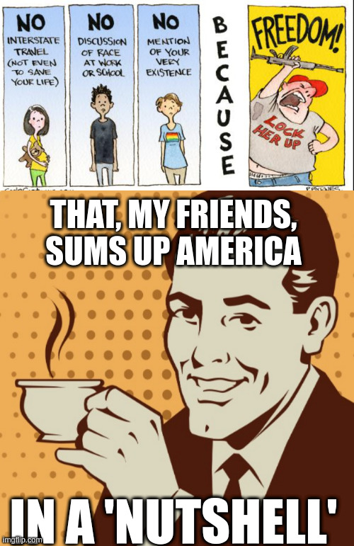 Still more preferable to live there than .... Russia? Low bar, real low bar | THAT, MY FRIENDS, SUMS UP AMERICA; IN A 'NUTSHELL' | image tagged in mug approval | made w/ Imgflip meme maker