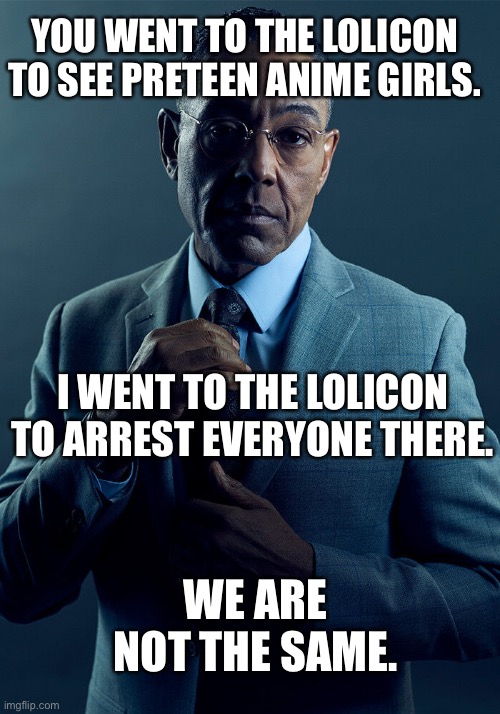 Gus Fring we are not the same | YOU WENT TO THE LOLICON TO SEE PRETEEN ANIME GIRLS. I WENT TO THE LOLICON TO ARREST EVERYONE THERE. WE ARE NOT THE SAME. | image tagged in gus fring we are not the same | made w/ Imgflip meme maker