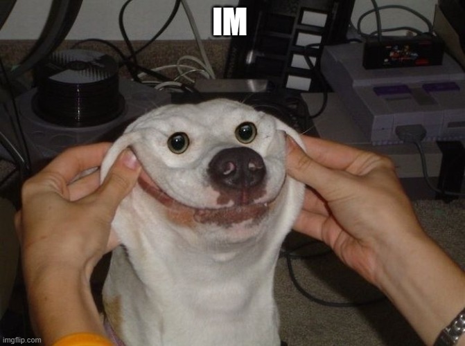 Forced To Smile Dog | IM | image tagged in forced to smile dog | made w/ Imgflip meme maker