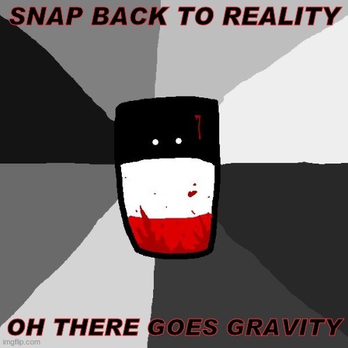 snap back to reality | SNAP BACK TO REALITY; OH THERE GOES GRAVITY | image tagged in insanity reichtangle | made w/ Imgflip meme maker