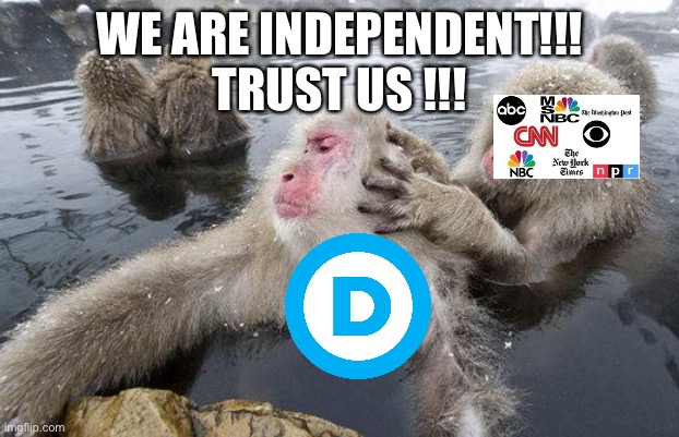 monkeys grooming | WE ARE INDEPENDENT!!!
TRUST US !!! | image tagged in monkeys grooming,media,democrats | made w/ Imgflip meme maker