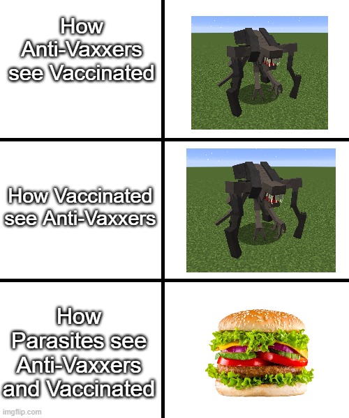 meme | How Anti-Vaxxers see Vaccinated; How Vaccinated see Anti-Vaxxers; How Parasites see Anti-Vaxxers and Vaccinated | image tagged in blank template,scape and run,parasites | made w/ Imgflip meme maker