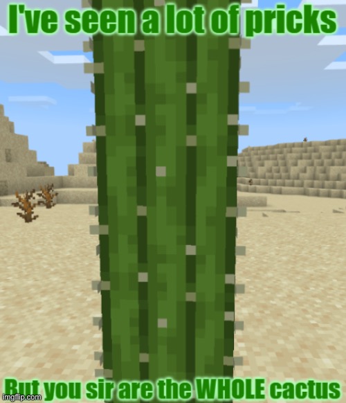 I've seen a lot of pricks but you sir are the whole cactus | image tagged in i've seen a lot of pricks but you sir are the whole cactus | made w/ Imgflip meme maker