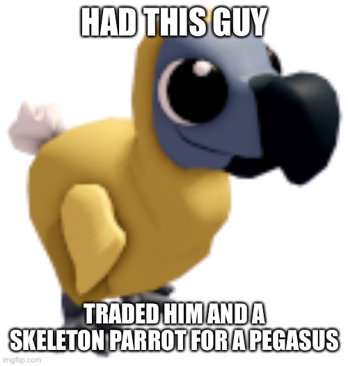 And I miss him too | HAD THIS GUY; TRADED HIM AND A SKELETON PARROT FOR A PEGASUS | image tagged in roblox | made w/ Imgflip meme maker