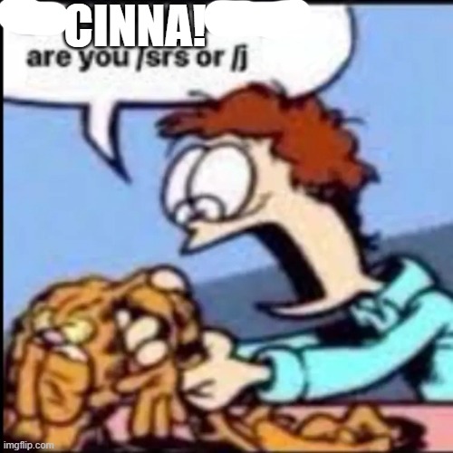 Garfield are you /srs or /j | CINNA! | image tagged in garfield are you /srs or /j | made w/ Imgflip meme maker