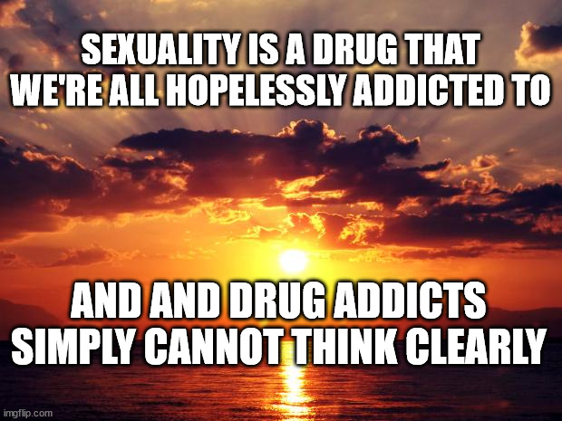 Sunset |  SEXUALITY IS A DRUG THAT WE'RE ALL HOPELESSLY ADDICTED TO; AND AND DRUG ADDICTS SIMPLY CANNOT THINK CLEARLY | image tagged in sunset | made w/ Imgflip meme maker