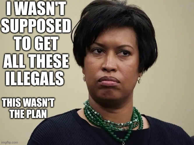 Mayor Bowser |  I WASN'T SUPPOSED TO GET ALL THESE ILLEGALS; THIS WASN'T THE PLAN | made w/ Imgflip meme maker