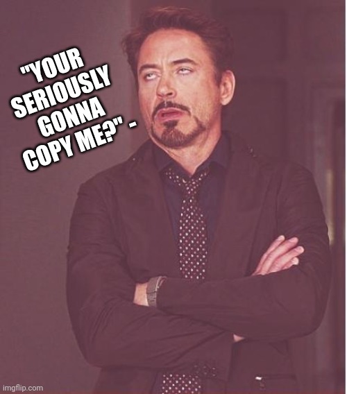 Face You Make Robert Downey Jr Meme | "YOUR SERIOUSLY GONNA COPY ME?" - | image tagged in memes,face you make robert downey jr | made w/ Imgflip meme maker