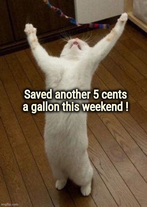Hooray Cat | Saved another 5 cents a gallon this weekend ! | image tagged in hooray cat | made w/ Imgflip meme maker