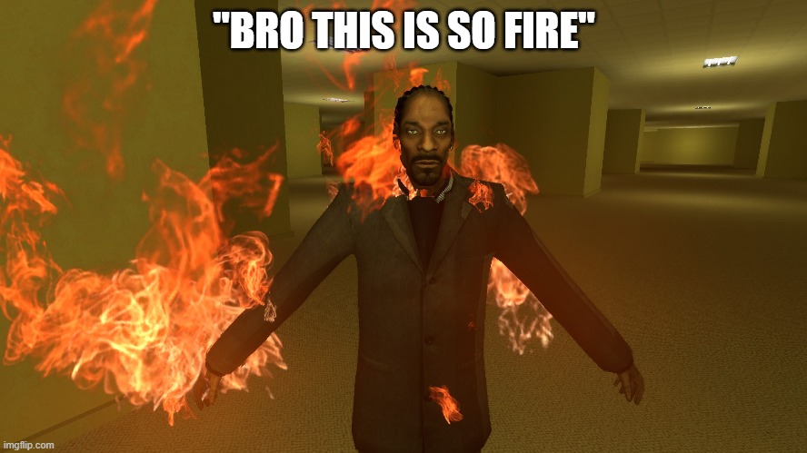 "this is so fire" | "BRO THIS IS SO FIRE" | image tagged in garry's mod,gmod,snoop dogg,fire | made w/ Imgflip meme maker