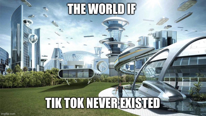 The future world if | THE WORLD IF; TIK TOK NEVER EXISTED | image tagged in the future world if | made w/ Imgflip meme maker