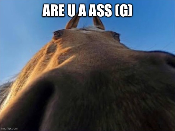 *gr not g | ARE U A ASS (G) | image tagged in are you a grass | made w/ Imgflip meme maker