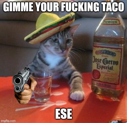 Mexican Cat | GIMME YOUR FUCKING TACO ESE | image tagged in mexican cat | made w/ Imgflip meme maker