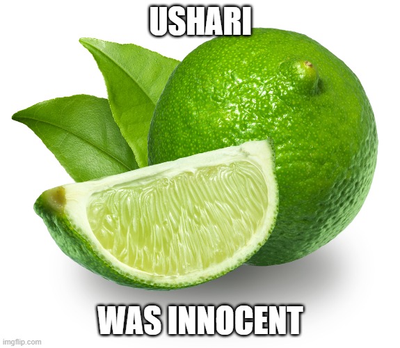 Lime | USHARI; WAS INNOCENT | image tagged in lime | made w/ Imgflip meme maker