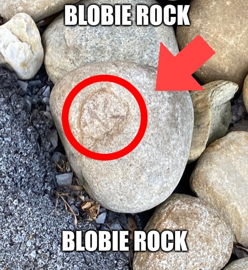 NO WAY | BLOBIE ROCK; BLOBIE ROCK | image tagged in blobie,rock | made w/ Imgflip meme maker