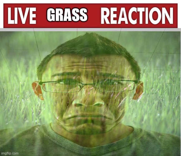 GRASS | image tagged in live x reaction,grass is greener | made w/ Imgflip meme maker