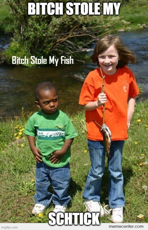 Bitch stole my fish | BITCH STOLE MY; SCHTICK | image tagged in bitch stole my fish | made w/ Imgflip meme maker