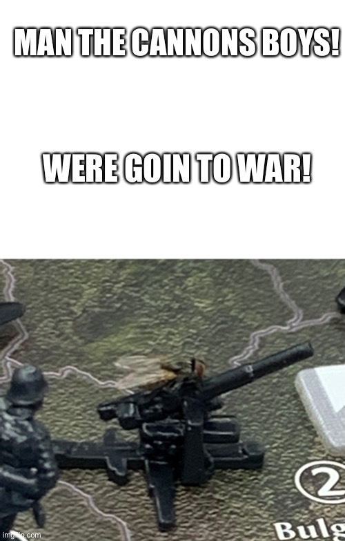 Fly on Axis and Allies AAA cannon | MAN THE CANNONS BOYS! WERE GOIN TO WAR! | image tagged in blank white template,fly on cannon,axis and allies,memes | made w/ Imgflip meme maker