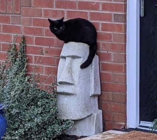 M | image tagged in m | made w/ Imgflip meme maker