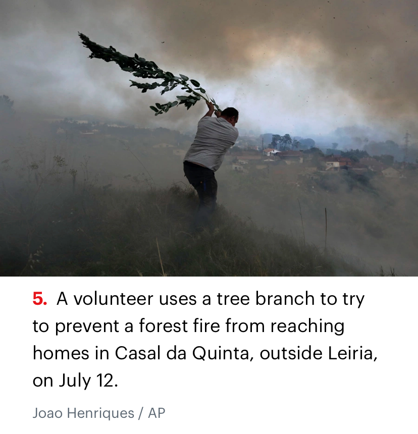 Forest fire in Portugal Blank Meme Template