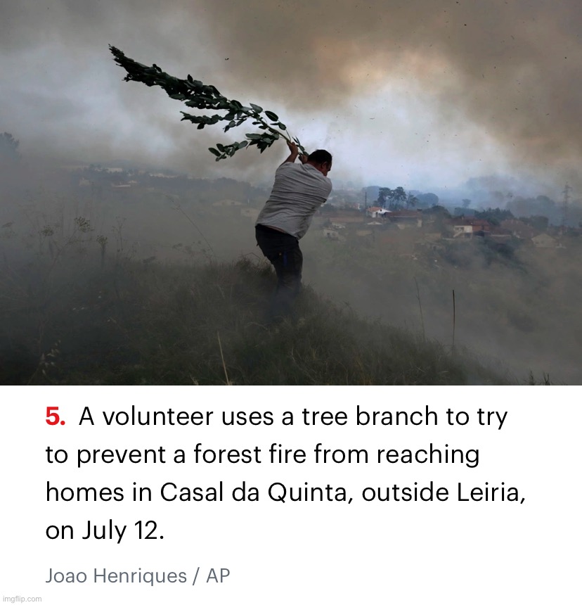 This guy has the right idea! If he can do it, so can you! #SelfReliance | image tagged in forest fire in portugal | made w/ Imgflip meme maker