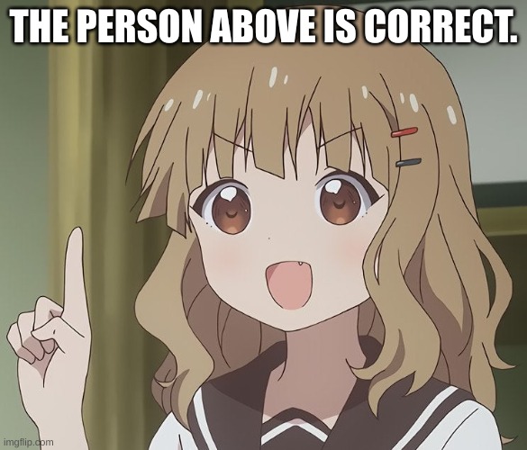 The person above me | THE PERSON ABOVE IS CORRECT. | image tagged in the person above me | made w/ Imgflip meme maker