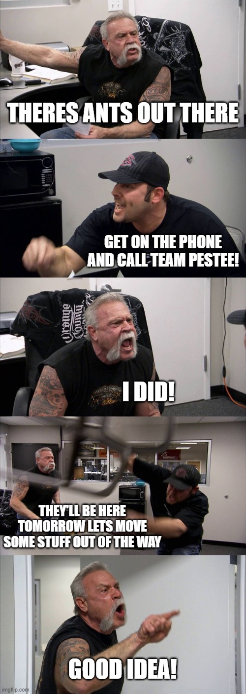 pest control | THERES ANTS OUT THERE; GET ON THE PHONE AND CALL TEAM PESTEE! I DID! THEY'LL BE HERE TOMORROW LETS MOVE SOME STUFF OUT OF THE WAY; GOOD IDEA! | image tagged in memes,american chopper argument | made w/ Imgflip meme maker