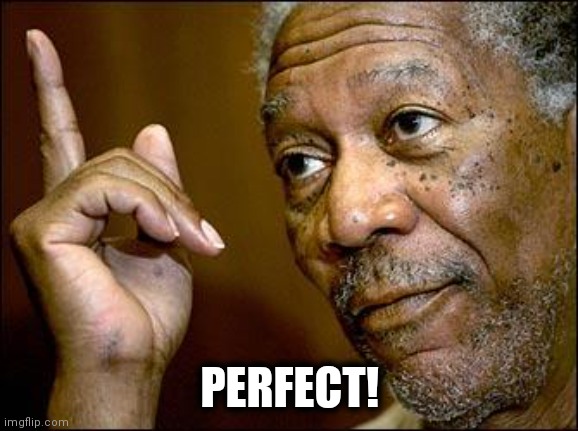 This Morgan Freeman | PERFECT! | image tagged in this morgan freeman | made w/ Imgflip meme maker
