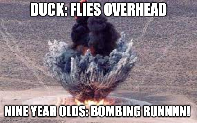 Nine year old humour | DUCK: FLIES OVERHEAD; NINE YEAR OLDS: BOMBING RUNNNN! | image tagged in duck,explosion,humour,nine year olds,kids | made w/ Imgflip meme maker