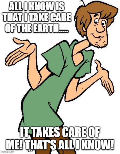 Shaggy from Scooby Doo | ALL I KNOW IS THAT I TAKE CARE OF THE EARTH..... IT TAKES CARE OF ME! THAT'S ALL I KNOW! | image tagged in shaggy from scooby doo | made w/ Imgflip meme maker