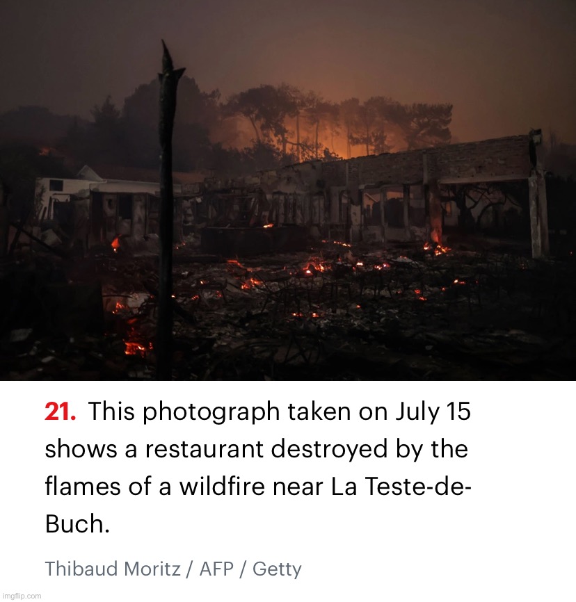Good help is hard to find these days, but never skimp on poorly-trained kitchen staff. #SafetyFirst #BusinessTips | image tagged in forest fire in france | made w/ Imgflip meme maker