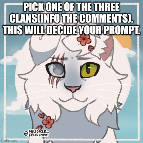 PICK ONE OF THE THREE CLANS(INFO THE COMMENTS). THIS WILL DECIDE YOUR PROMPT. | made w/ Imgflip meme maker