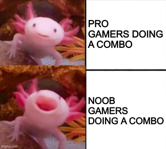 axolotl drake | PRO GAMERS DOING A COMBO; NOOB GAMERS DOING A COMBO | image tagged in axolotl drake | made w/ Imgflip meme maker