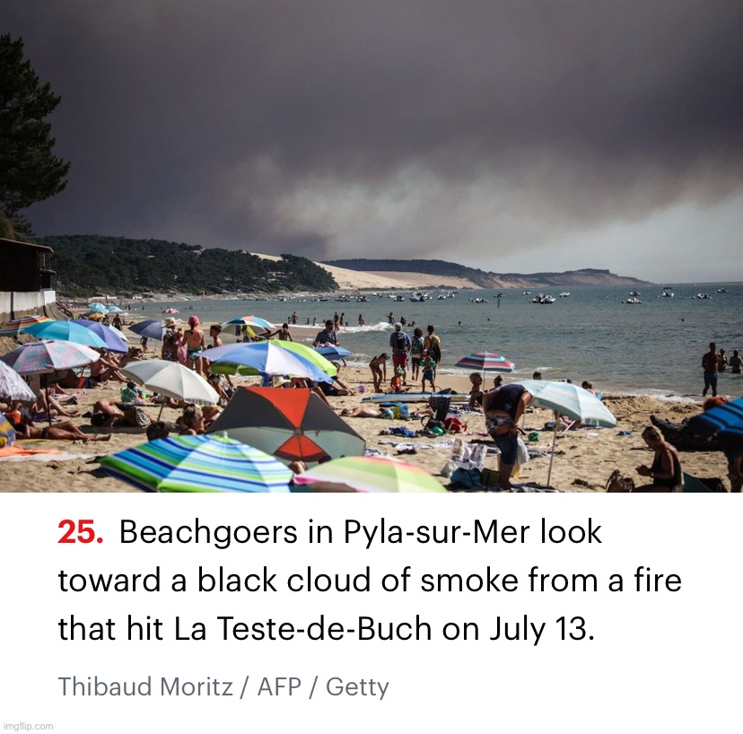 When ANTIFA’s arsonists strike, consider a beach trip. Then you can just hop right in. Smart | image tagged in forest fire in france | made w/ Imgflip meme maker