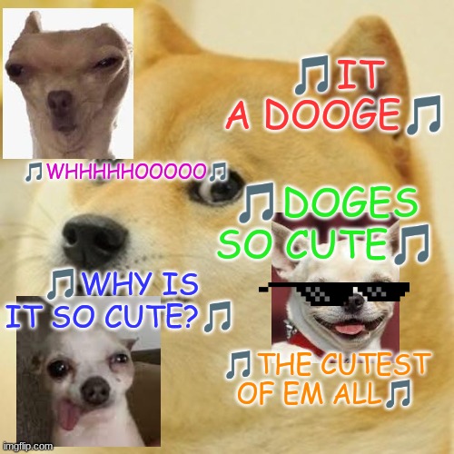 Doge | 🎵IT A DOOGE🎵; 🎵WHHHHHOOOOO🎵; 🎵DOGES SO CUTE🎵; 🎵WHY IS IT SO CUTE?🎵; 🎵THE CUTEST OF EM ALL🎵 | image tagged in memes,doge,dog,funny | made w/ Imgflip meme maker