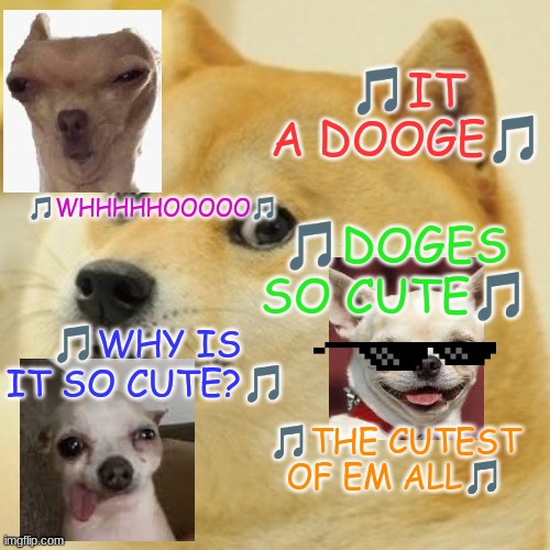 Doge Meme - Imgflip