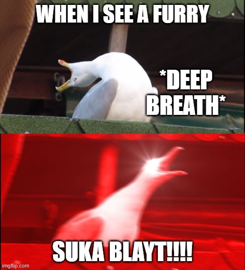 Furry be gay *in Russian | WHEN I SEE A FURRY; *DEEP BREATH*; SUKA BLAYT!!!! | image tagged in screaming bird | made w/ Imgflip meme maker