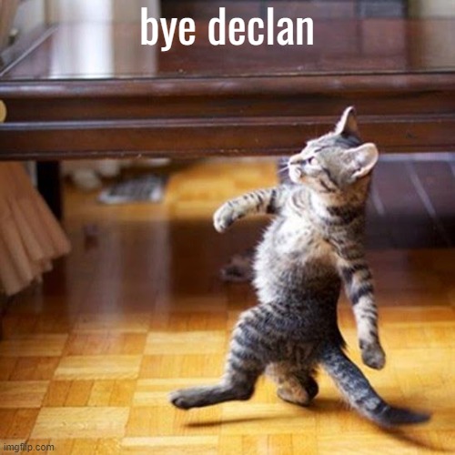 Bye bye dnc | bye declan | image tagged in bye bye dnc | made w/ Imgflip meme maker