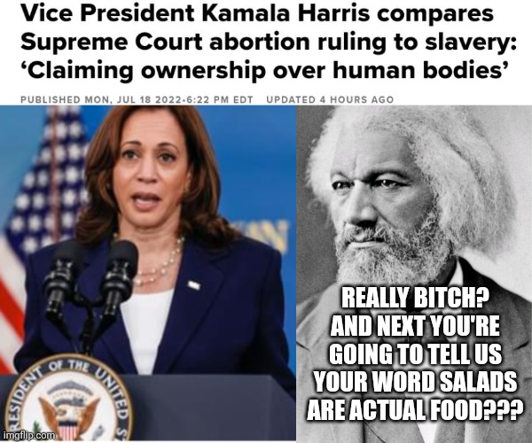 Frederick Douglass Claps Back At Highly Offensive, Racist Remark About Slavery Made By Kamala Harris |  REALLY BITCH? AND NEXT YOU'RE GOING TO TELL US YOUR WORD SALADS ARE ACTUAL FOOD??? | image tagged in offensive,racist,slavery,woke,kamala harris,abortion | made w/ Imgflip meme maker