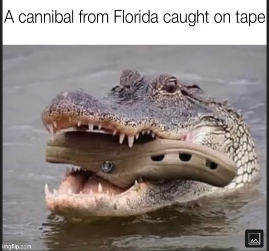image tagged in florida,alligator,crocs,cannibal | made w/ Imgflip meme maker