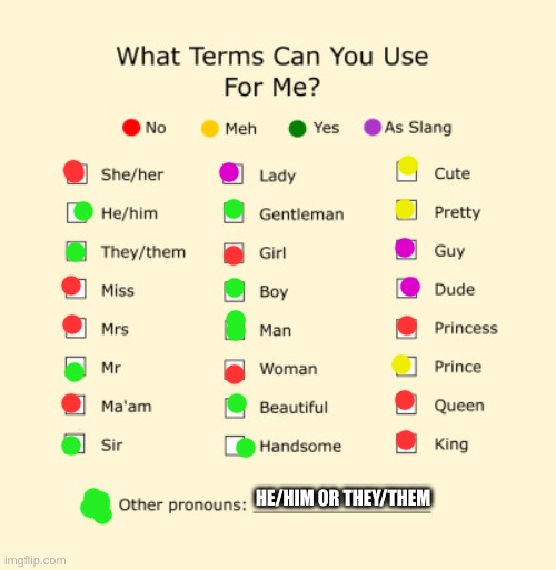 Yes. | HE/HIM OR THEY/THEM | image tagged in pronouns sheet | made w/ Imgflip meme maker