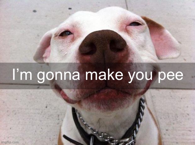 Dog Smile | I’m gonna make you pee | image tagged in dog smile | made w/ Imgflip meme maker