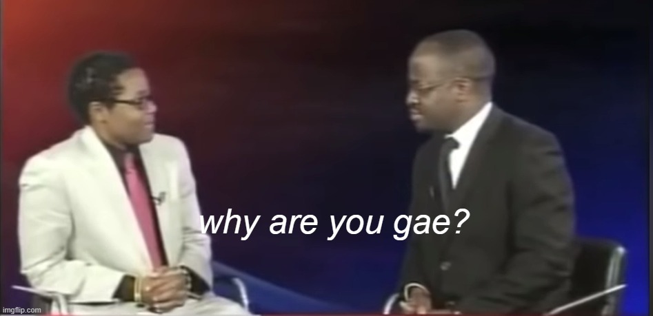 Why are you gae? | why are you gae? | image tagged in why are you gae | made w/ Imgflip meme maker