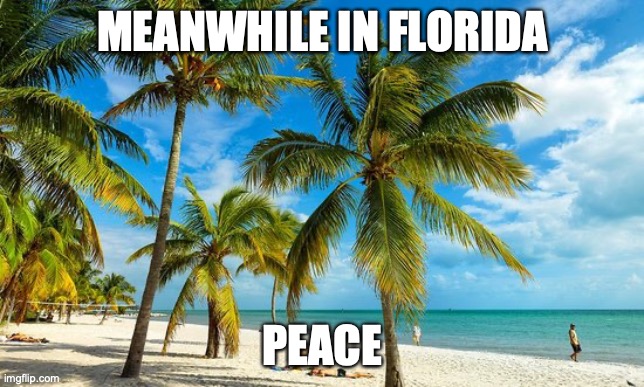 Florida weather | MEANWHILE IN FLORIDA PEACE | image tagged in florida weather | made w/ Imgflip meme maker