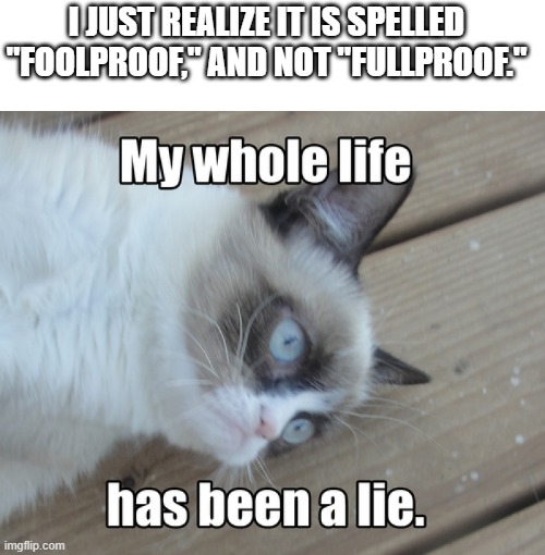 I've had more than my fair share of these moments. |  I JUST REALIZE IT IS SPELLED "FOOLPROOF," AND NOT "FULLPROOF." | image tagged in my whole life has been a lie,the truth,funny,memes,dramatic | made w/ Imgflip meme maker