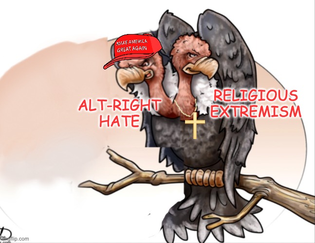 Two-headed vulture | ALT-RIGHT
HATE RELIGIOUS
EXTREMISM | image tagged in two-headed vulture | made w/ Imgflip meme maker